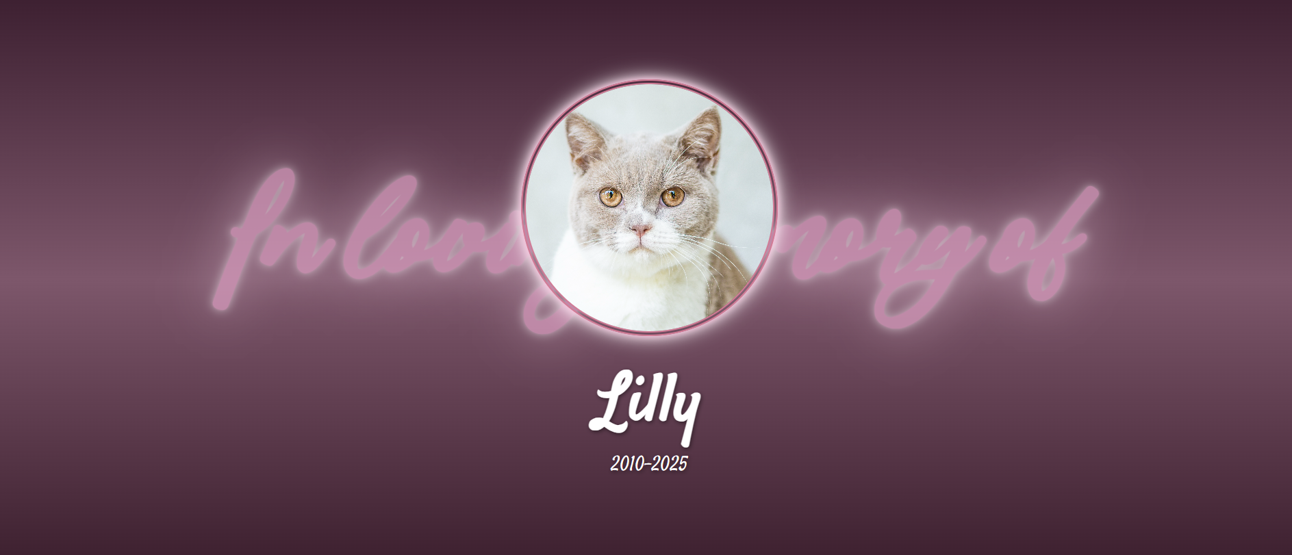 Cat Page Preview